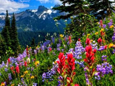 Revising the World Religions&nbsp;Course