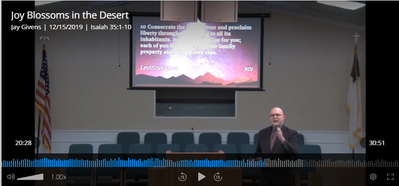 Joy Blossoms in the Desert