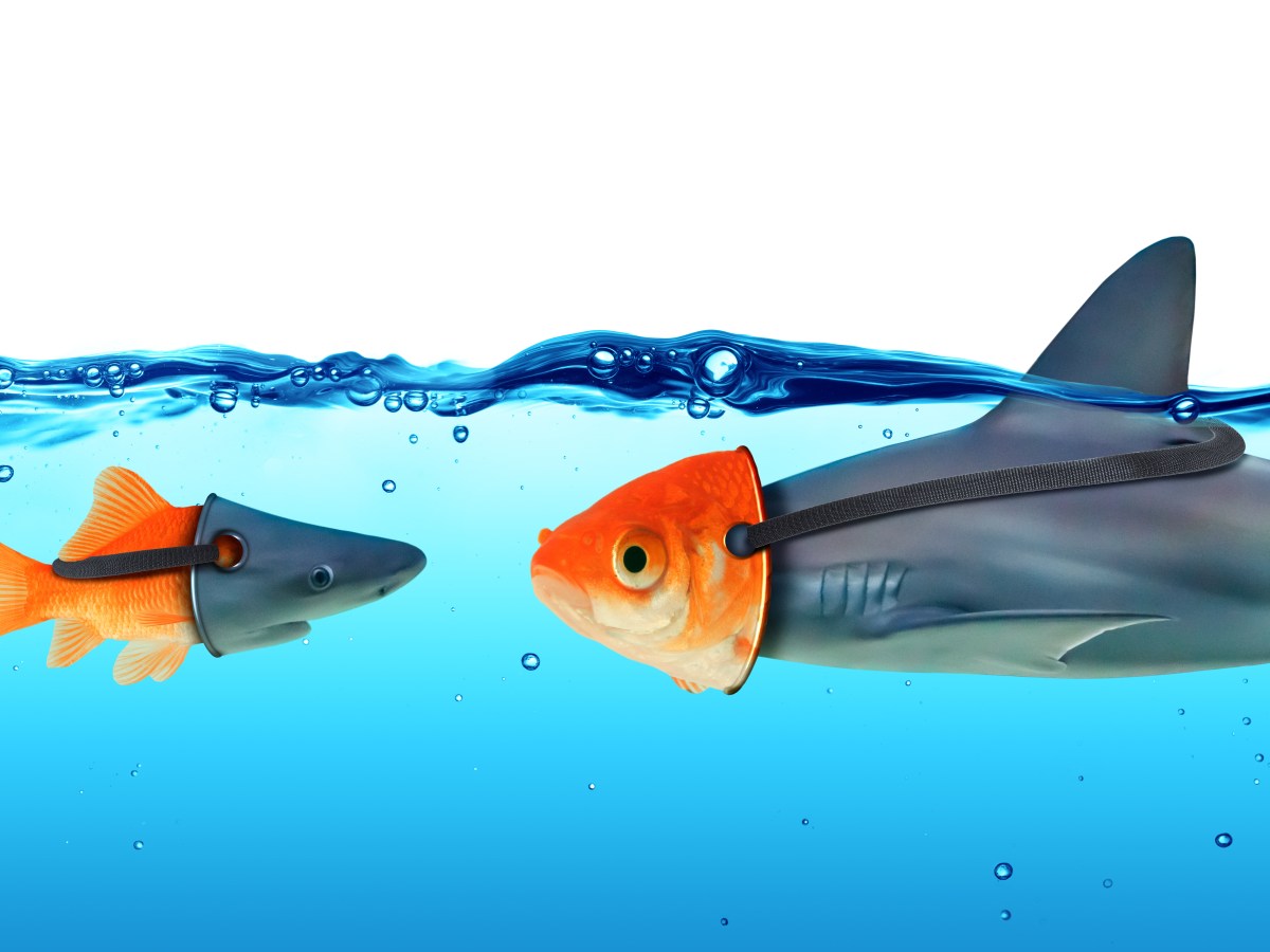 Who Can You&nbsp;Trust?