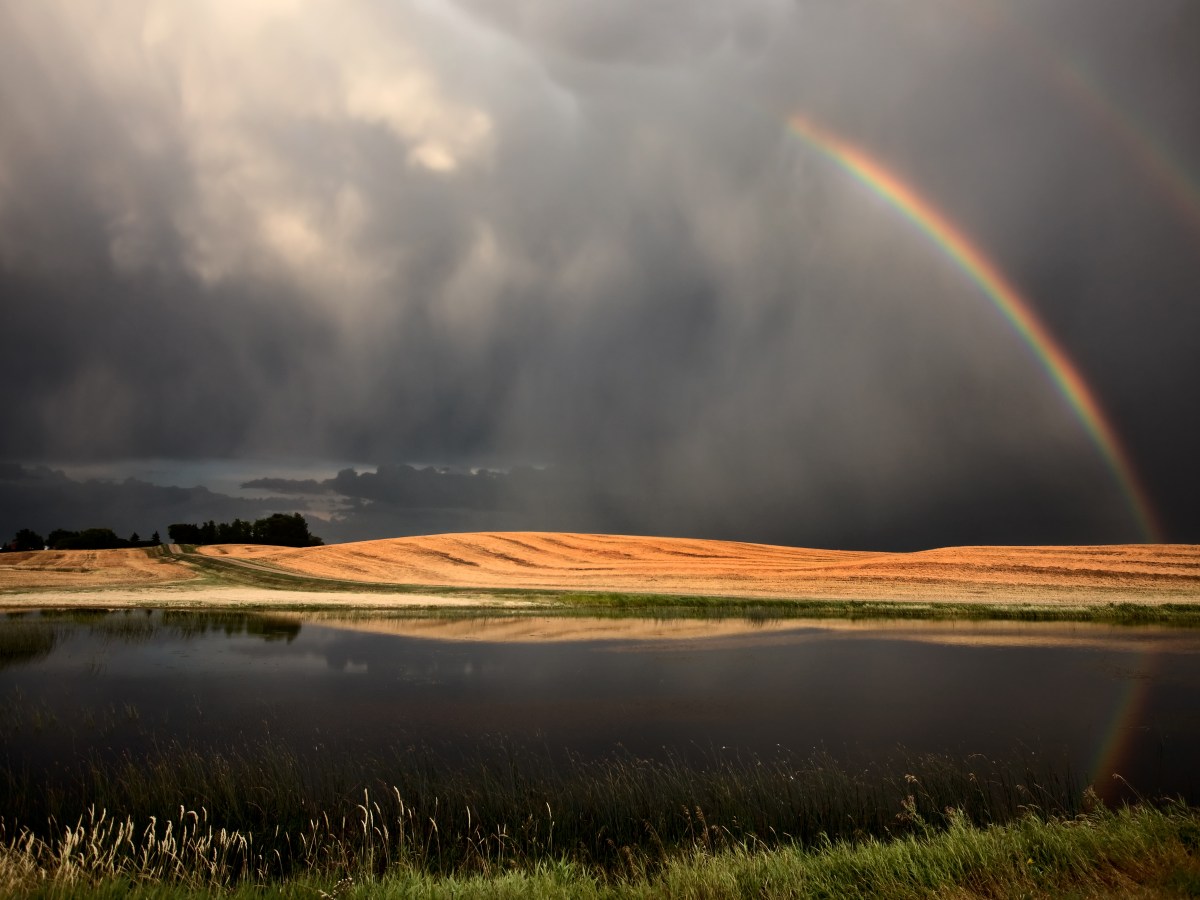 Judged Yet Given&nbsp;Hope