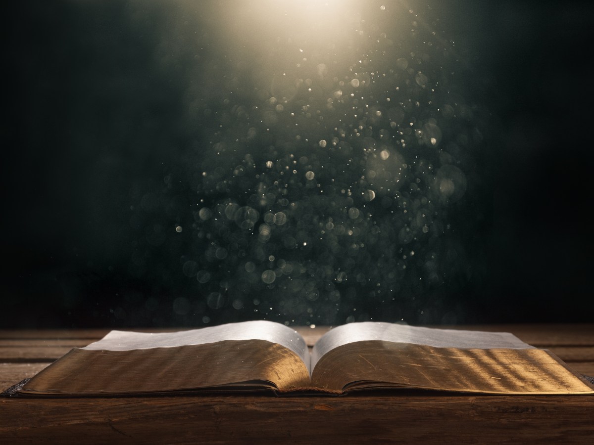 What about Phoebe?  When Scripture “Contradicts” Scripture